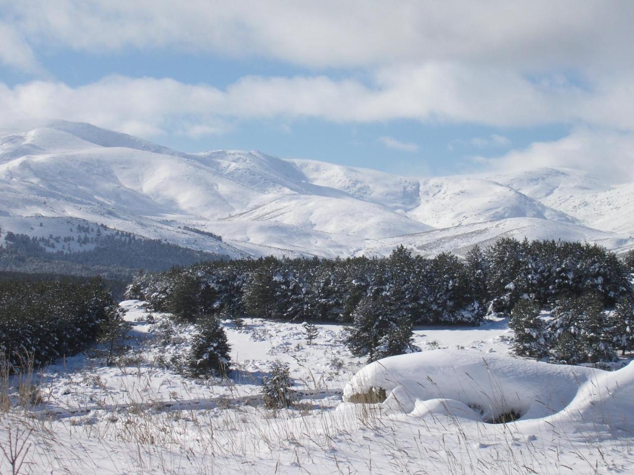 Barajas de Gredos Tinao De Gredos 빌라 외부 사진